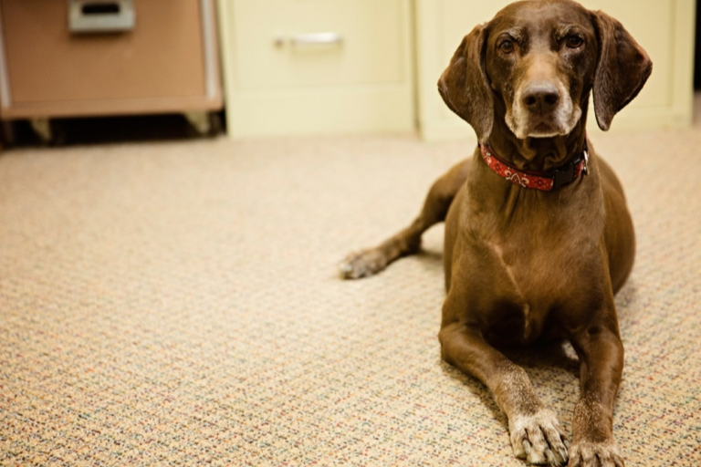 Inside Northwoods Lumber