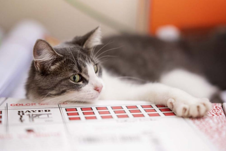 Inside Northwoods Lumber