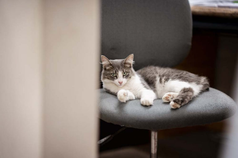 Inside Northwoods Lumber